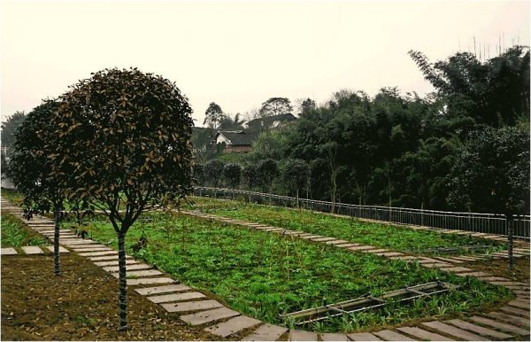 宜賓雙誼食品工業(yè)園污水處理廠工程